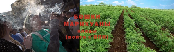 прущие грибы Белоозёрский